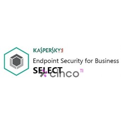 Kaspersky Endpoint Security for Business KL4863KAKFS
