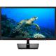Monitor LED 19,5” Widescreen
