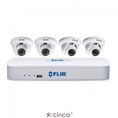 Câmera de Segurança IP Flir DN104P2E4