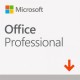 OFFICE PROFESSIONAL 2019 ESD 269-17067