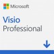 VISIO PROFESSIONAL 2019 ESD D87-07425