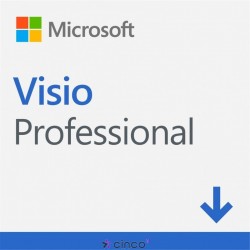 VISIO PROFESSIONAL 2019 ESD D87-07425