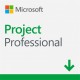 PROJECT PROFESSIONAL 2019 ESD H30-05756