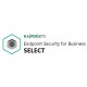 Kaspersky Endpoint Security for Business KL4863KAKFS