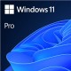 Windows 11 Pro Microsoft 64 bit ESD FQC-10572
