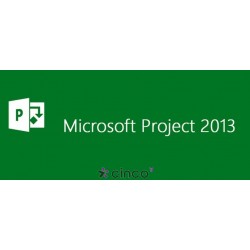 Microsoft Project Standard 2013 - license