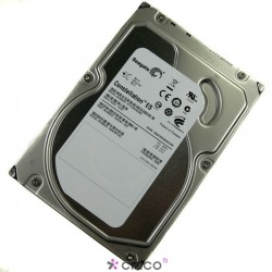  Seagate Constellation 1TB