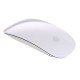 Magic Mouse Apple MB829AM/A