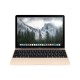 Macbook 12.0 Ouro M 1.1GHZ 8GB 256GB MK4M2BZ/A