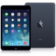 Ipad Mini Wifi 4G 16GB Cinza Espacial MF442BR/A