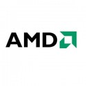 AMD